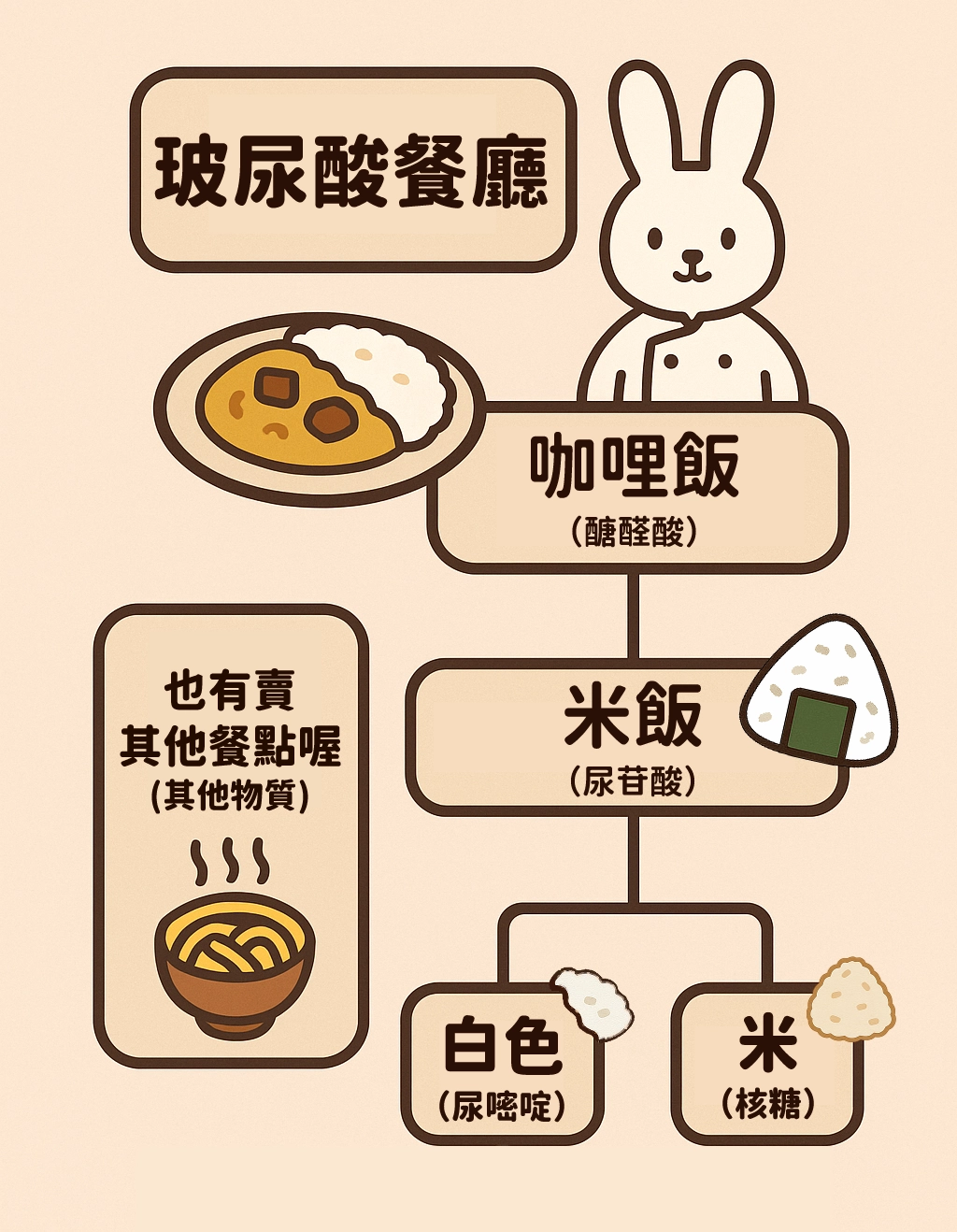 <img src="hyaluronic-acid-restaurant.jpg" alt="A bunny chef introduces the 'Hyaluronic Acid Restaurant,' where curry rice represents glucuronic acid and white rice represents uronic acid. The rice is made from 'white' (uracil) and 'rice' (ribose), using food metaphors to explain hyaluronic acid’s components.">