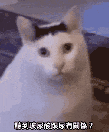 <img src="huh-cat-ha.jpg" alt="A confused cat meme helps readers understand that hyaluronic acid (HA) has nothing to do with urine. In Chinese, the confusion comes from misleading translation.">
