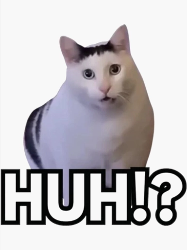 <img src="huh-cat-ha.jpg" alt="A confused cat meme helps readers understand that hyaluronic acid (HA) has nothing to do with urine. In Chinese, the confusion comes from misleading translation.">